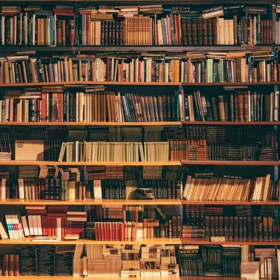 Book._.Recommendations profile