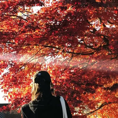 rina profile