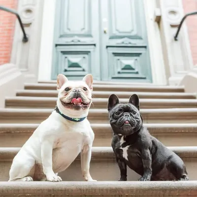 Boomer & Brinkley profile