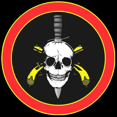 Batalhão de Operações Policiais Especiais profile