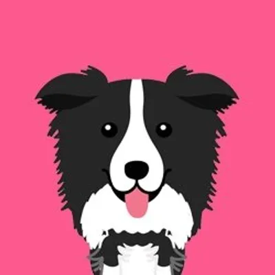 Border Collies ๐พ profile