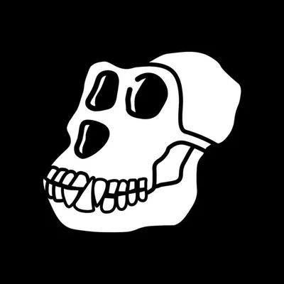 Bored Ape Yacht Club profile