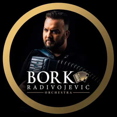 Borko Radivojević profile