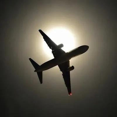 FLY ๐ธ profile
