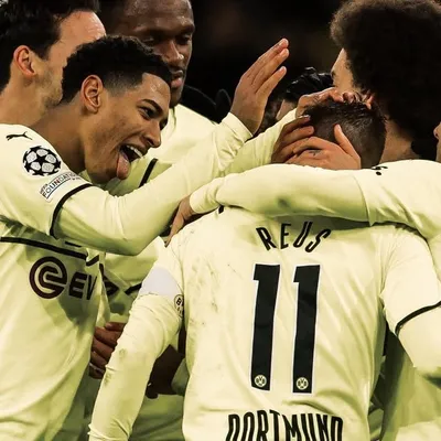 Borussia Dortmund profile