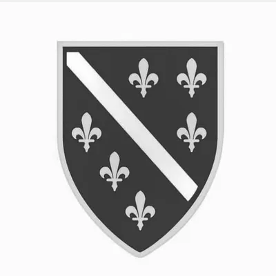 Bosnia_official ⚜️ profile