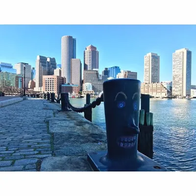 A Curated Collection Of Boston profile