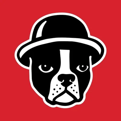 Boston Calling profile