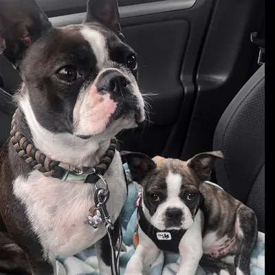 🐾Sunny&Angelo🤍 profile