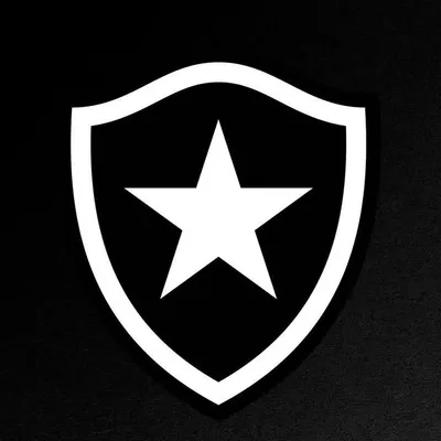 Botafogo F.R. profile