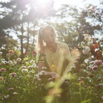 Bex ~ Floral Artist profile