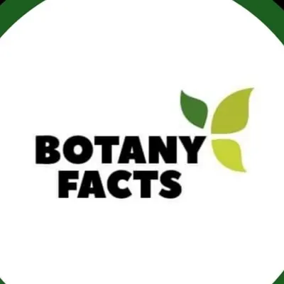 🌱Botany_facts🌱 profile