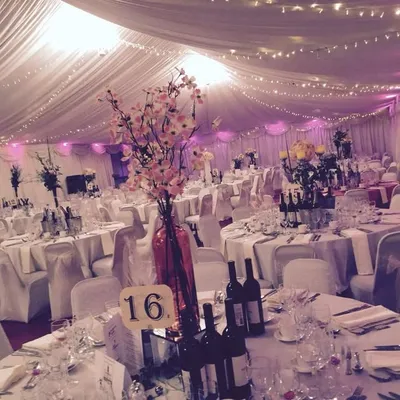 The Marquee Room profile