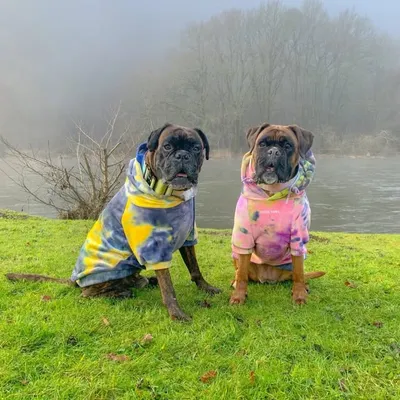 🐾Norman&Lilly-Rose🐾 profile