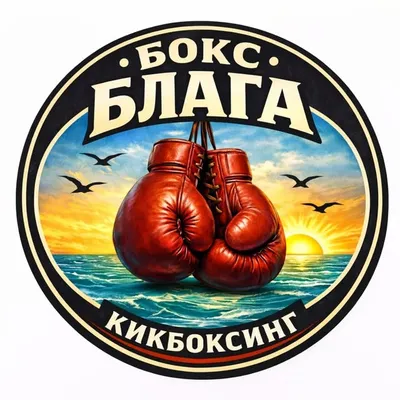 БОКС/БЛАГА/КИКБОКСИНГ profile