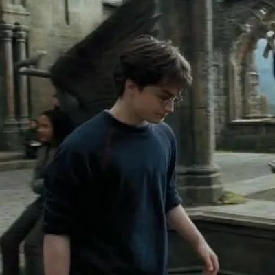 harry profile