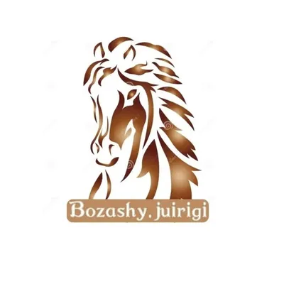 bozashy_juirigi profile
