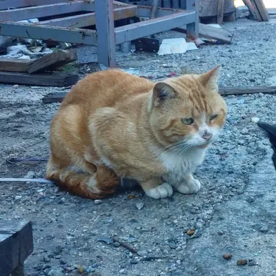 Bradford Tnr profile