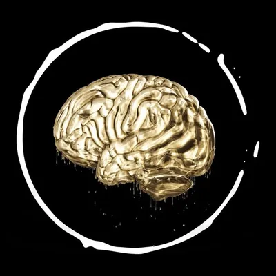 BRAINSTORMTROOPER profile