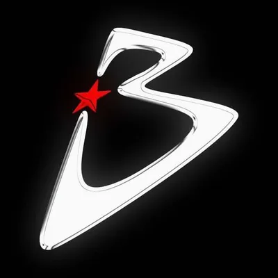 BRANDED BOY profile
