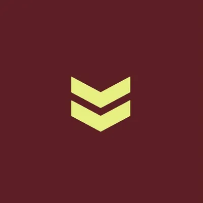 BRAVAGUARDA profile