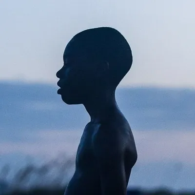 Braylen Dion profile