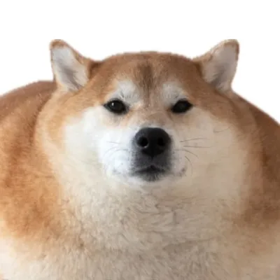 🍞황식빵 profile