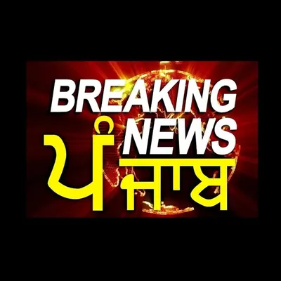 Breaking News Punjab profile