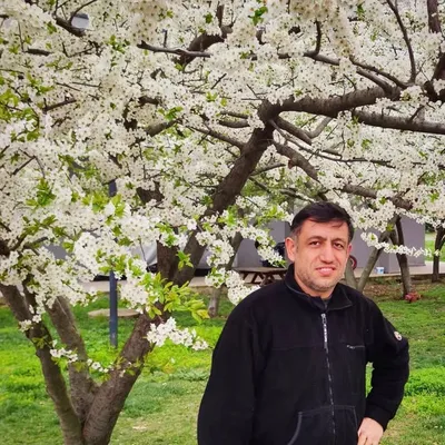 brehasan profile