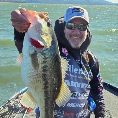 Brent Chapman profile