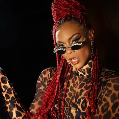 Briana Brandy/ B-Fab profile