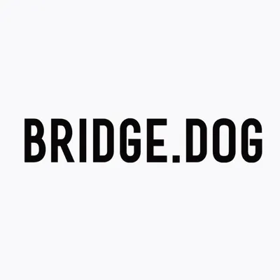 BRIDGE.DOG · 브릿지독 profile