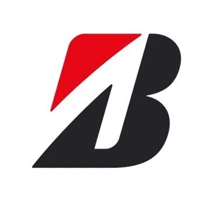Bridgestone India profile