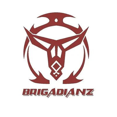 ™ BRIGADIANZ profile