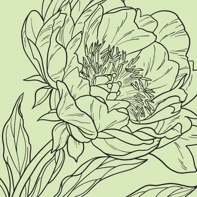 Brilliance Tattoo profile