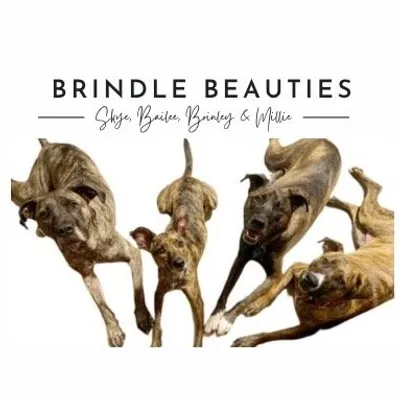 🇨🇦Brinley•Bailee•Millie•Skye profile