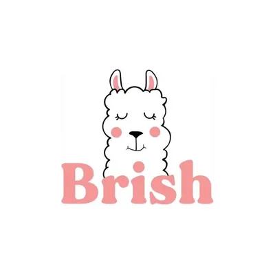 Brish Bebe🇮🇩 profile