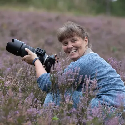 Hobbyfotograf📸 profile