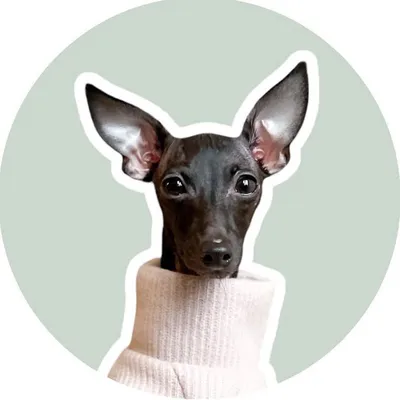 BRITTA & ARNE-GUNNAR profile