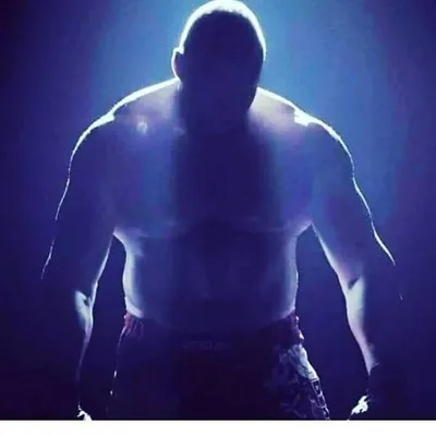 #1 Brock_ Lesnar_army🔥 profile