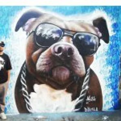 Brodyhippo profile