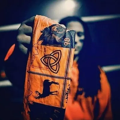 Official Bronco Gang Page profile