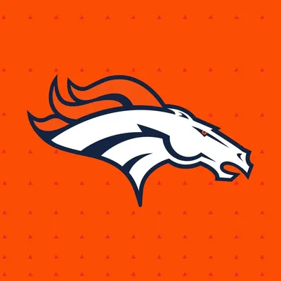 Denver Broncos profile