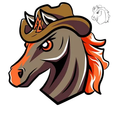 Broncos de Maravatio profile