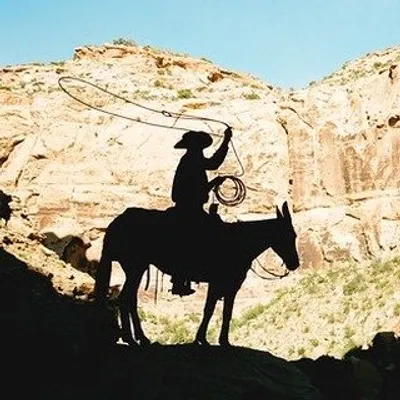 Broncs And Donks profile