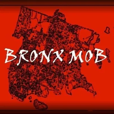 bronxmobmusic@gmail.com profile