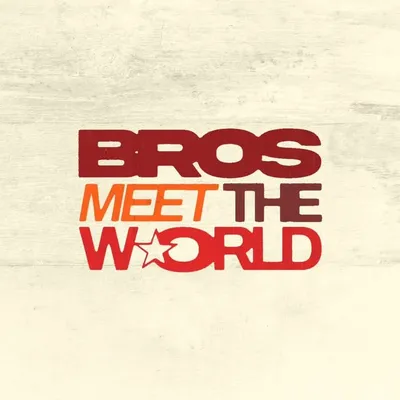 Bros Meet The World profile