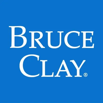Bruce Clay, Inc. profile