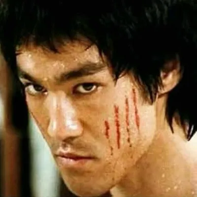 Bruce Lee Style profile