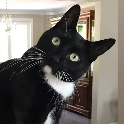 B R U C E profile